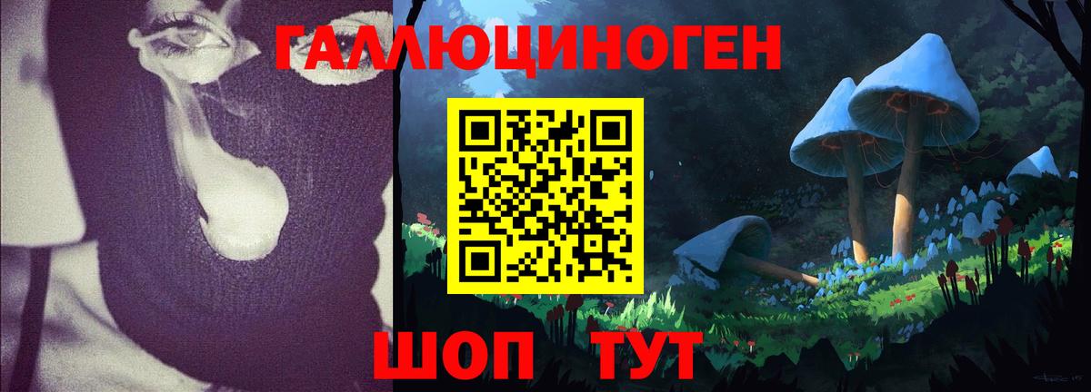 Галлюциногенные грибы Psilocybine cubensis  Вход с VPN  цена   Серпухов 